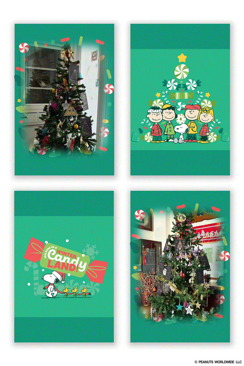 與長輩一起開心佈置聖誕樹🎄,宜福住宿長照機構